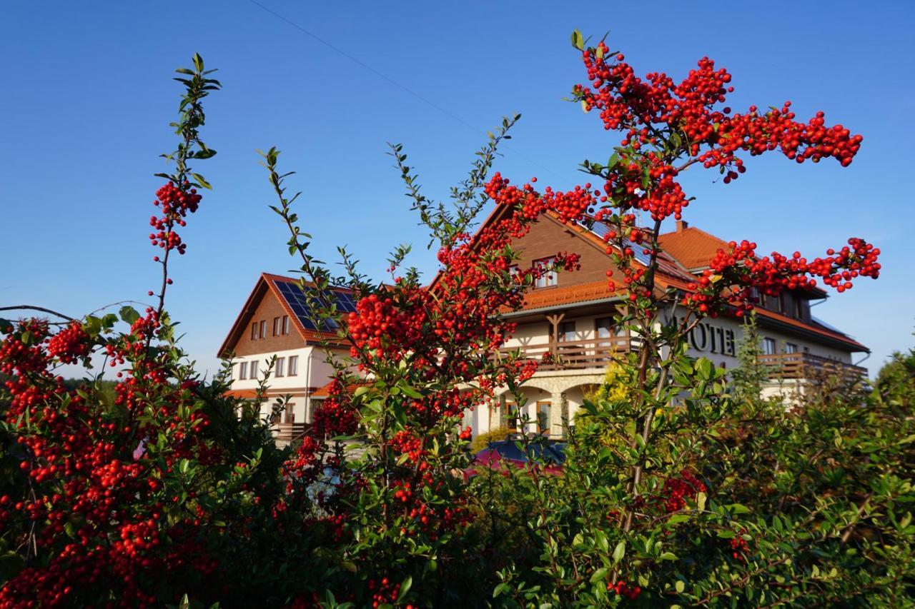 Hotel Lokietek Czajowice 외부 사진